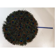 Peacock Feather Fan 1
